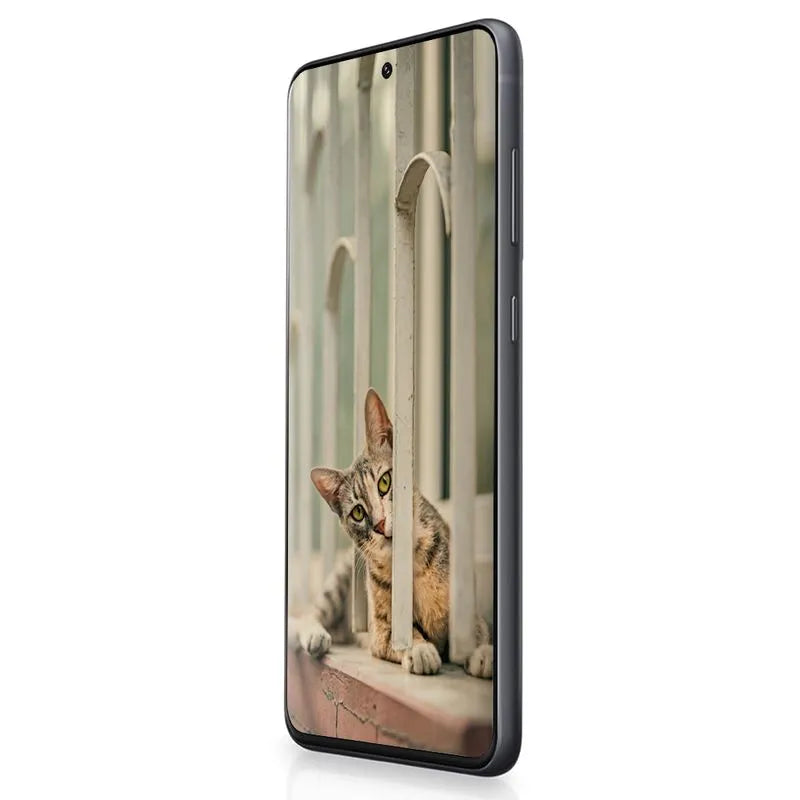 Samsung Galaxy S21 FE Negro 6GB 128GB Reacondicionado