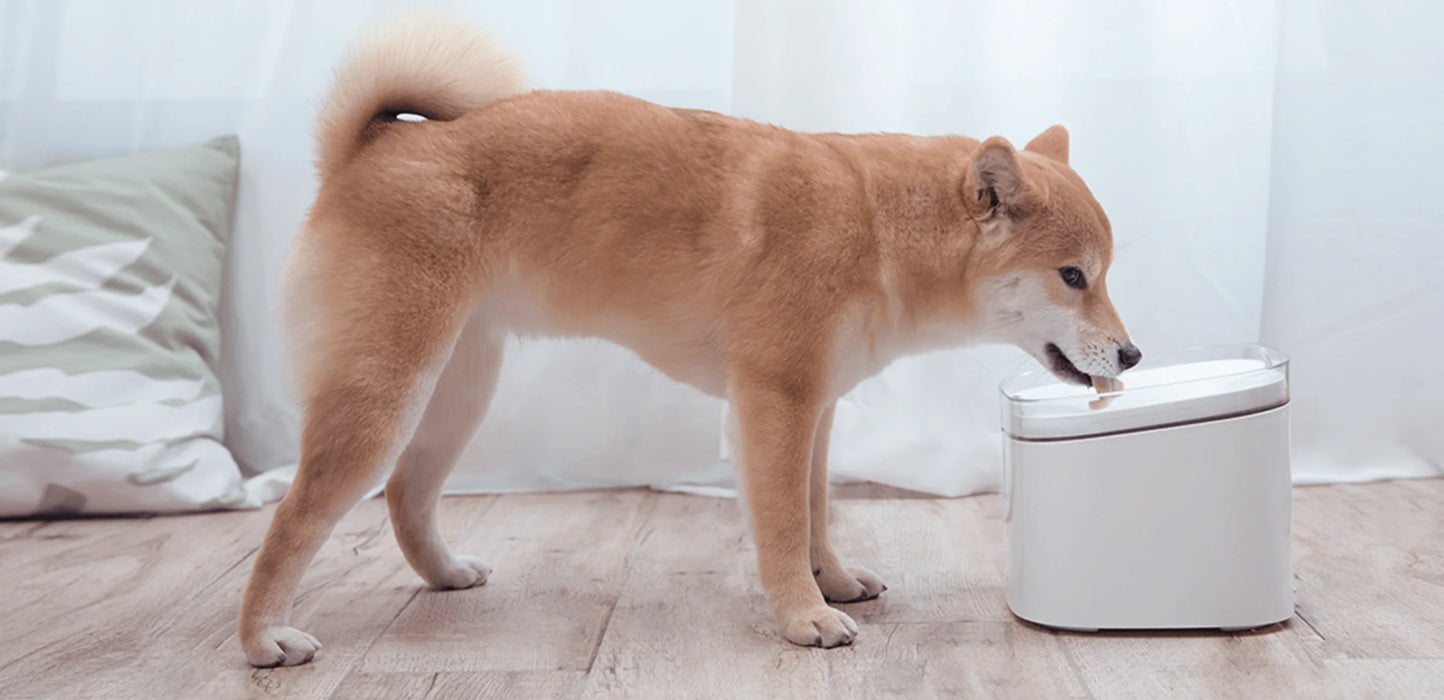 Xiaomi Smart Bebedor de agua para mascotas Reuse Perú