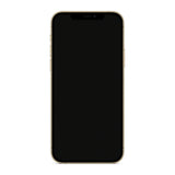 Apple iPhone 12 Pro Oro Reacondicionado - Frontal #color_Oro